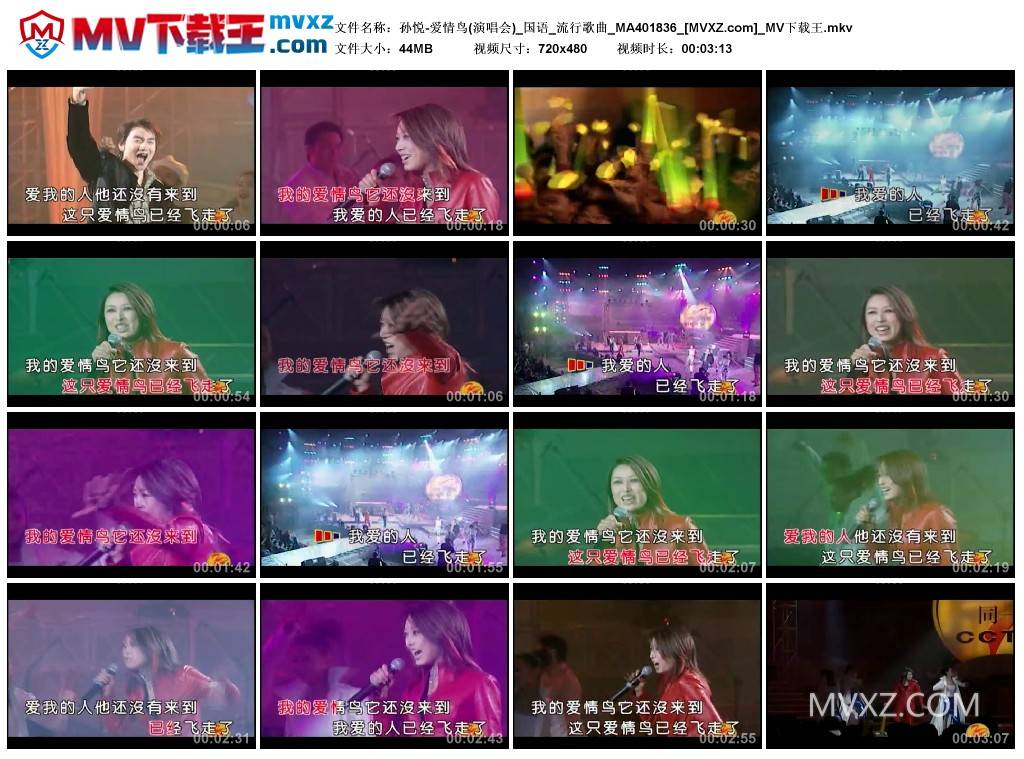 孙悦-爱情鸟(演唱会)_国语_流行歌曲_MA401836